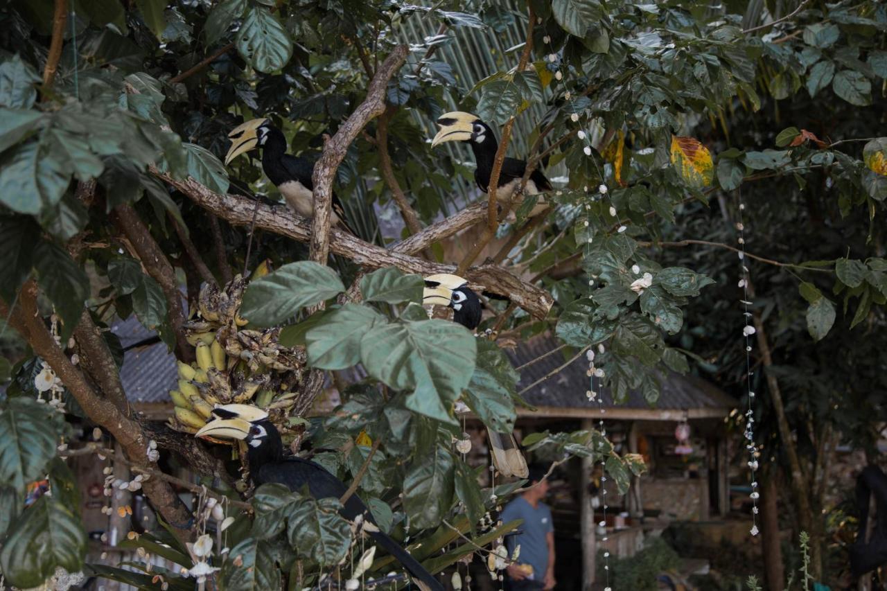 Hornbill Bungalow Koh Chang Ranong Exterior photo